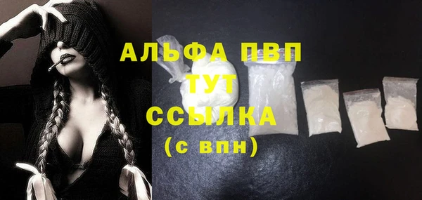 стаф Гусиноозёрск