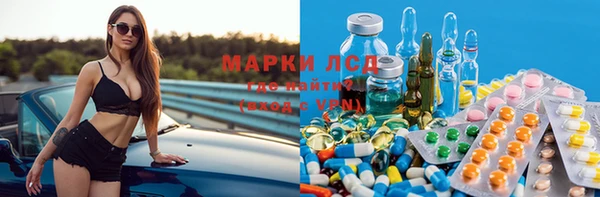 индика Гусев