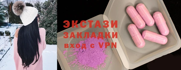 индика Гусев
