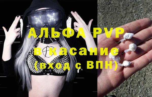 индика Гусев
