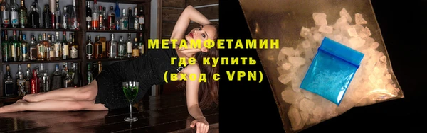 индика Гусев