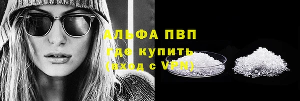 индика Гусев
