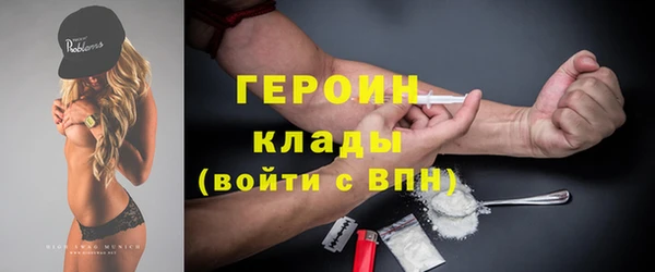 индика Гусев
