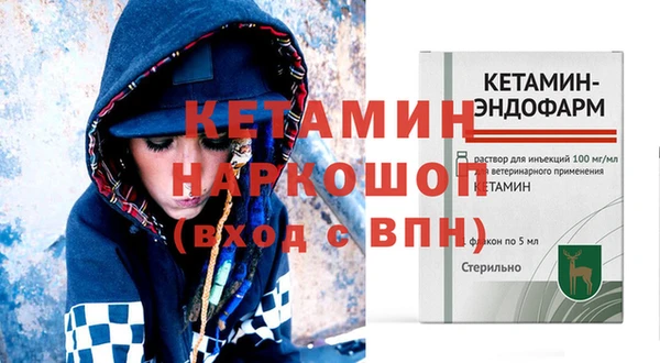 индика Гусев