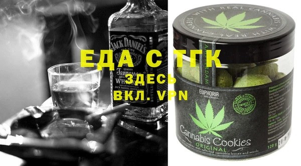 индика Гусев