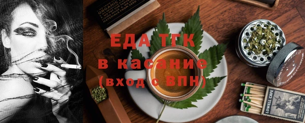индика Гусев
