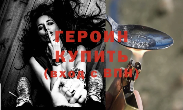 индика Гусев
