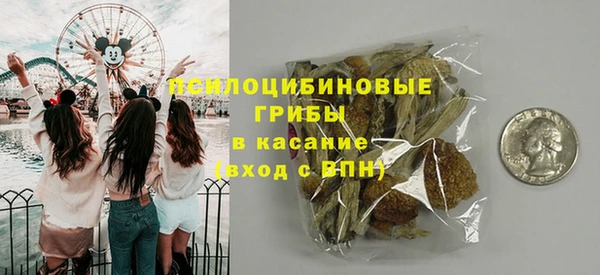 стаф Гусиноозёрск