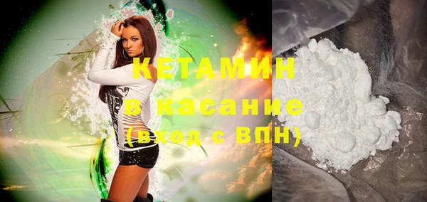 индика Гусев