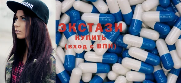 индика Гусев