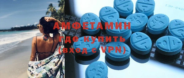индика Гусев