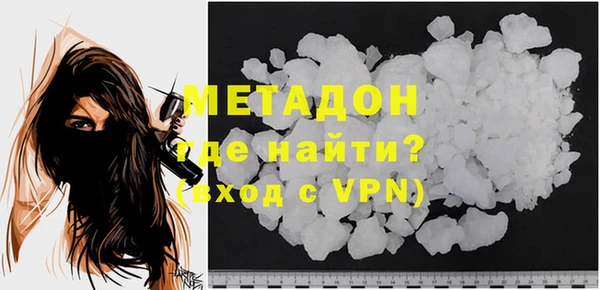 индика Гусев