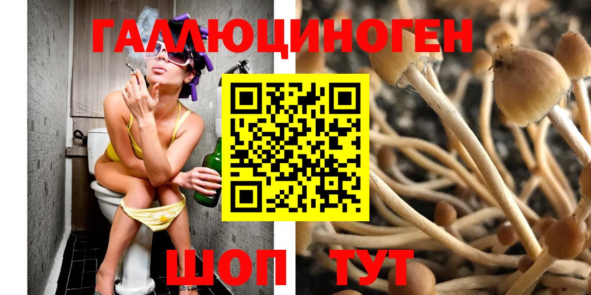 Псилоцибиновые грибы GOLDEN TEACHER Южноуральск